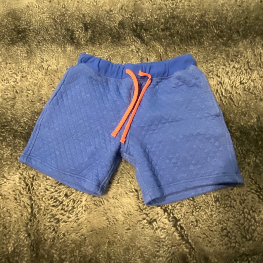 Chubbies sweat shorts